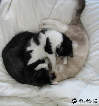 �������� ��� :)