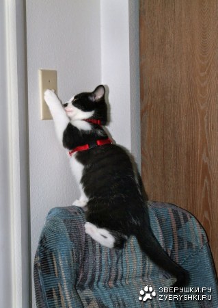 ��� ��������� ����?! ;)