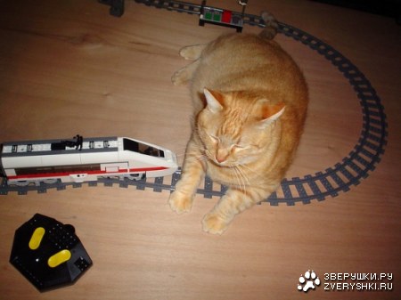 ��� ��� ����������! ;)