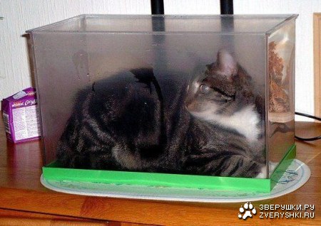 �������� ������ (8 ����)