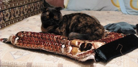 � � ��� ����� �������!