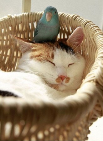 ������ ������� :)