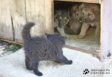 ��������, ������ �����! ;)