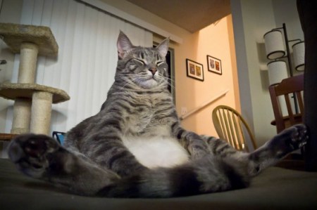 ���� ���, ��������� ;)