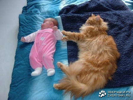 �� �����, � � ����� ;)