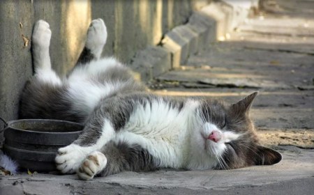 �������� ������ ������ ;)