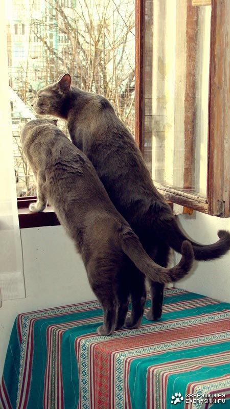 �������������� ������ � ������ (25 ����)