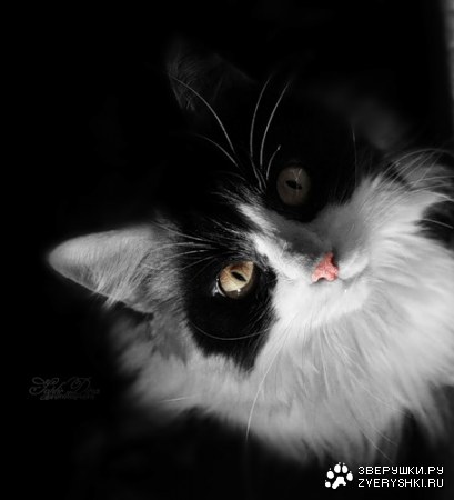 �����-��������-�������� :)