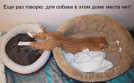 ��� ������ � ���� ���� ����� ��� ;)