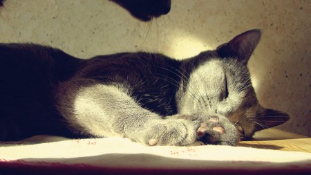 �������������� ������ � ������ (25 ����)