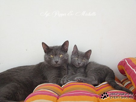 �������������� ������ � ������ (25 ����)