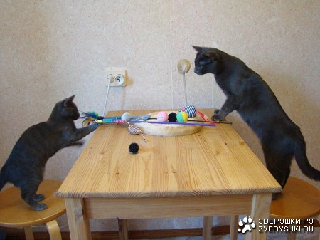 �������������� ������ � ������ (25 ����)