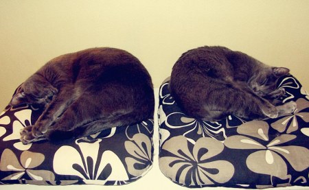 �������������� ������ � ������ (25 ����)