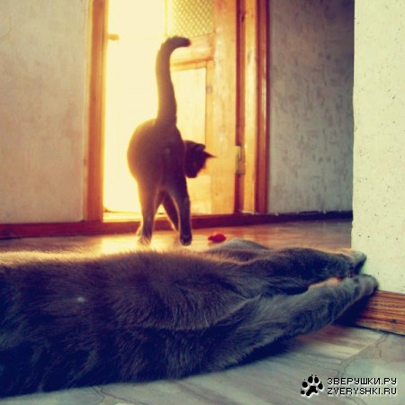 �������������� ������ � ������ (25 ����)