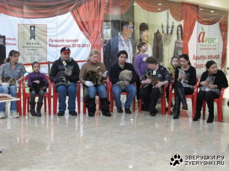 �������� ����� � ������ (����������)