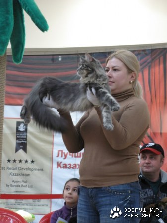 �������� ����� � ������ (����������)