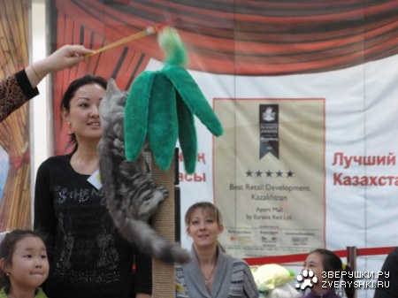 �������� ����� � ������ (����������)