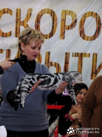 �������� ����� � ������ (����������)