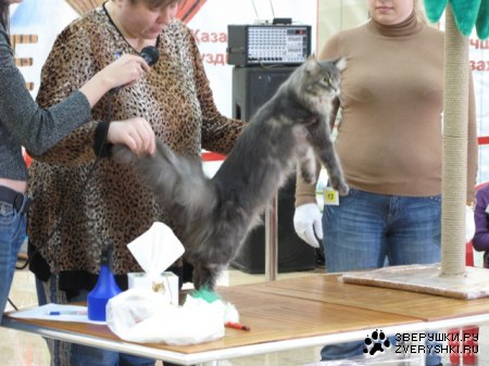 �������� ����� � ������ (����������)