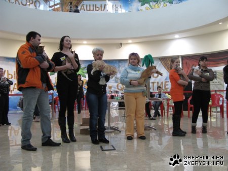 �������� ����� � ������ (����������)