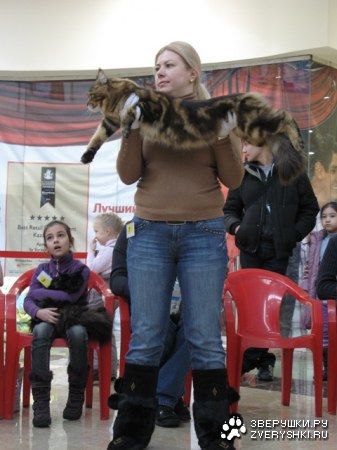 �������� ����� � ������ (����������)