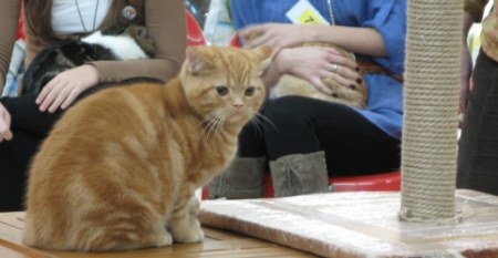 �������� ����� � ������ (����������)