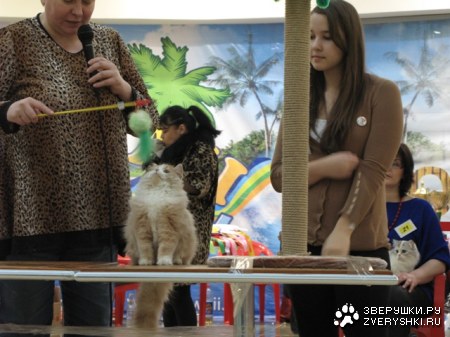 �������� ����� � ������ (����������)