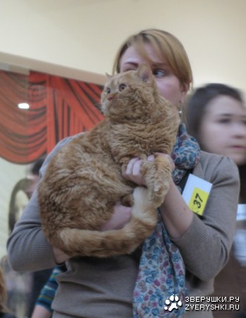 �������� ����� � ������ (����������)