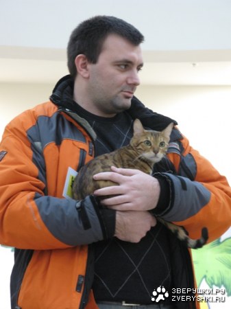 �������� ����� � ������ (����������)