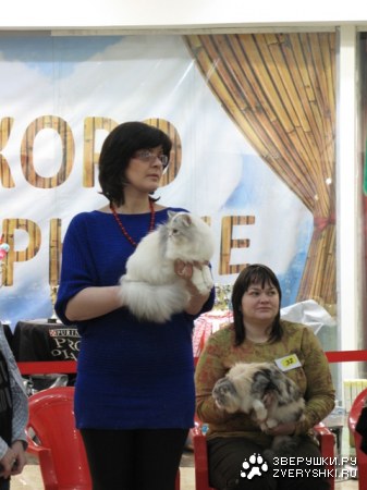 �������� ����� � ������ (����������)