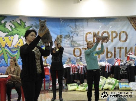 �������� ����� � ������ (����������)