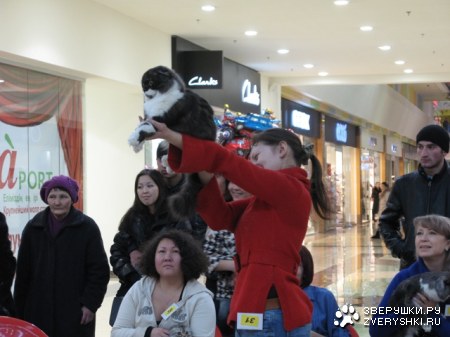 �������� ����� � ������ (����������)