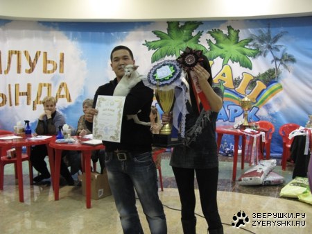 �������� ����� � ������ (����������)