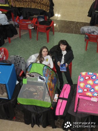 ���� ������ �������� � �������! :)