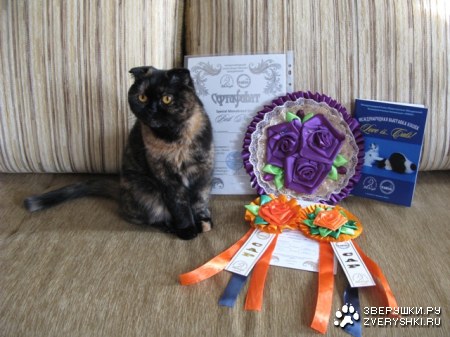 ���� ������ �������� � �������! :)