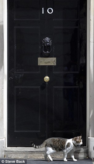 ��� ����������� �������-�������� (6 ����)