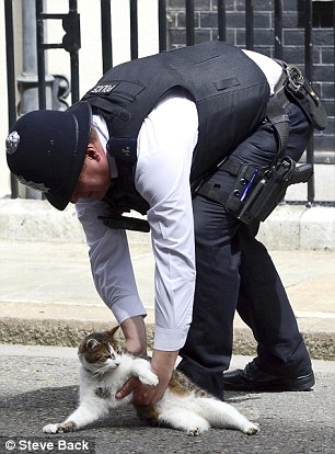 ��� ����������� �������-�������� (6 ����)