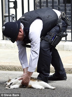 ��� ����������� �������-�������� (6 ����)