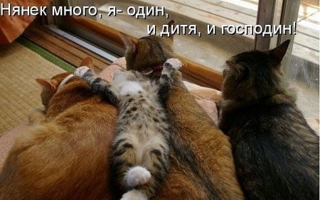 �������� ���� ;)