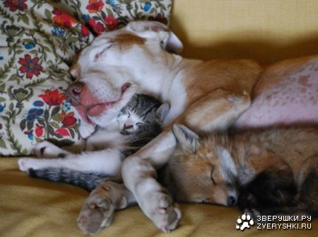 ��� ��� �������� ;)