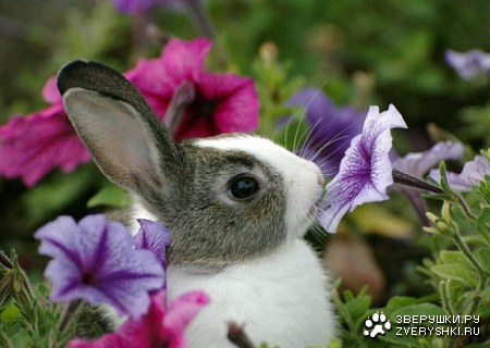 ��������� ����� :)