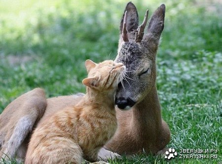 ����� � �������� ;)