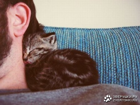 ��������...