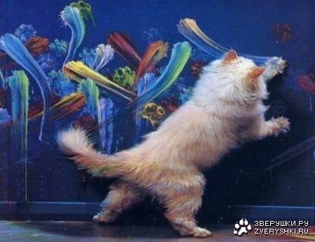 ��������� �������� ;)