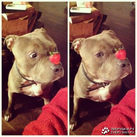 ������-������ :)