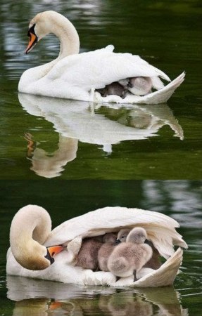 ��� ������ � ������� ;)