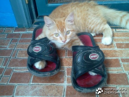 ��� ��� �����! ;)