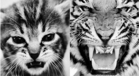 ������ ;)