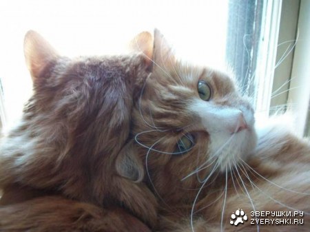 �� ������������� ;)