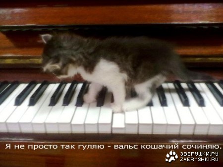 �������� ;)